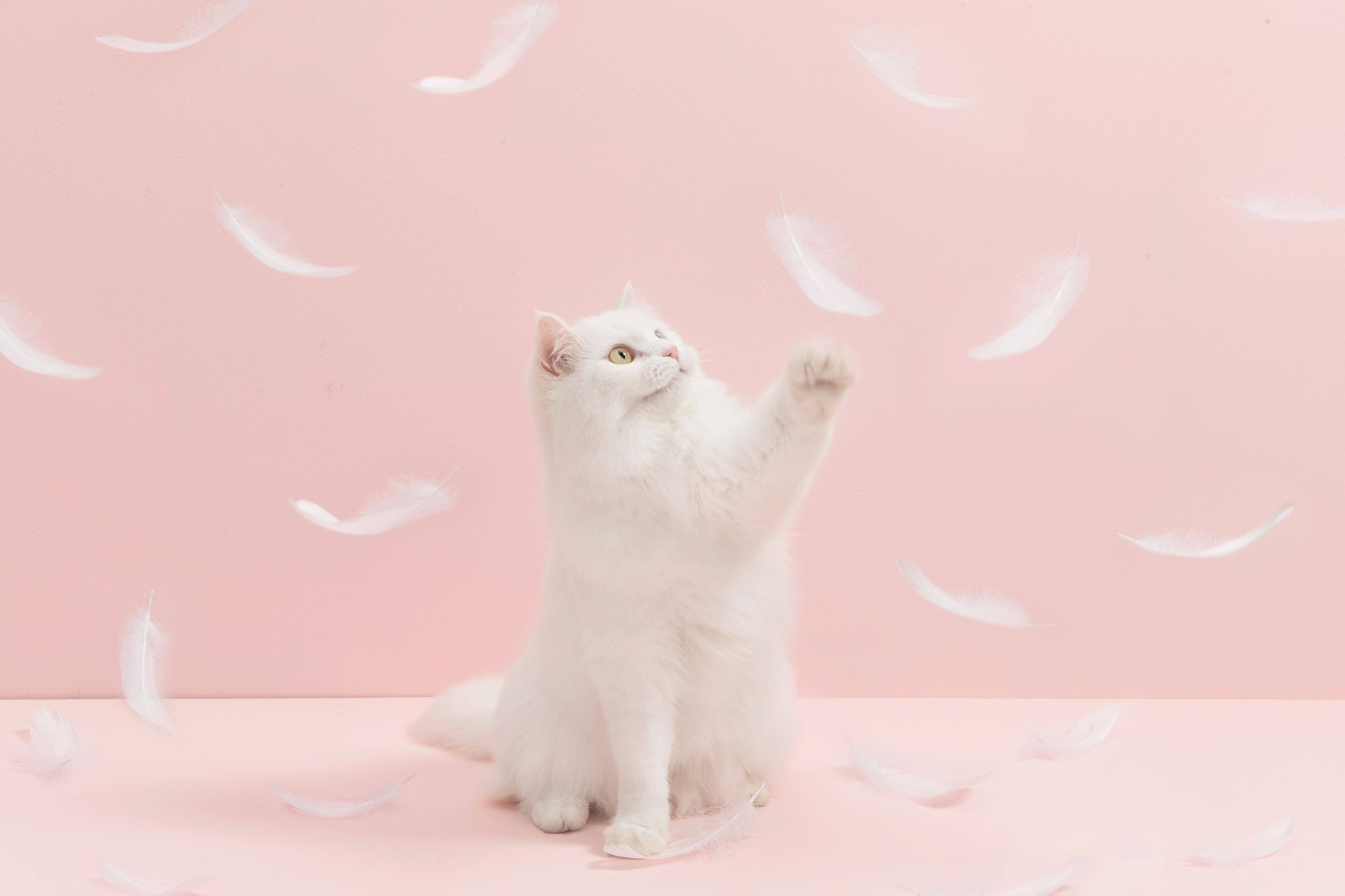 Игрушка-дразнилка с перьями для кошек Furrytail Flamingo Cat Teaser